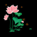 荷花