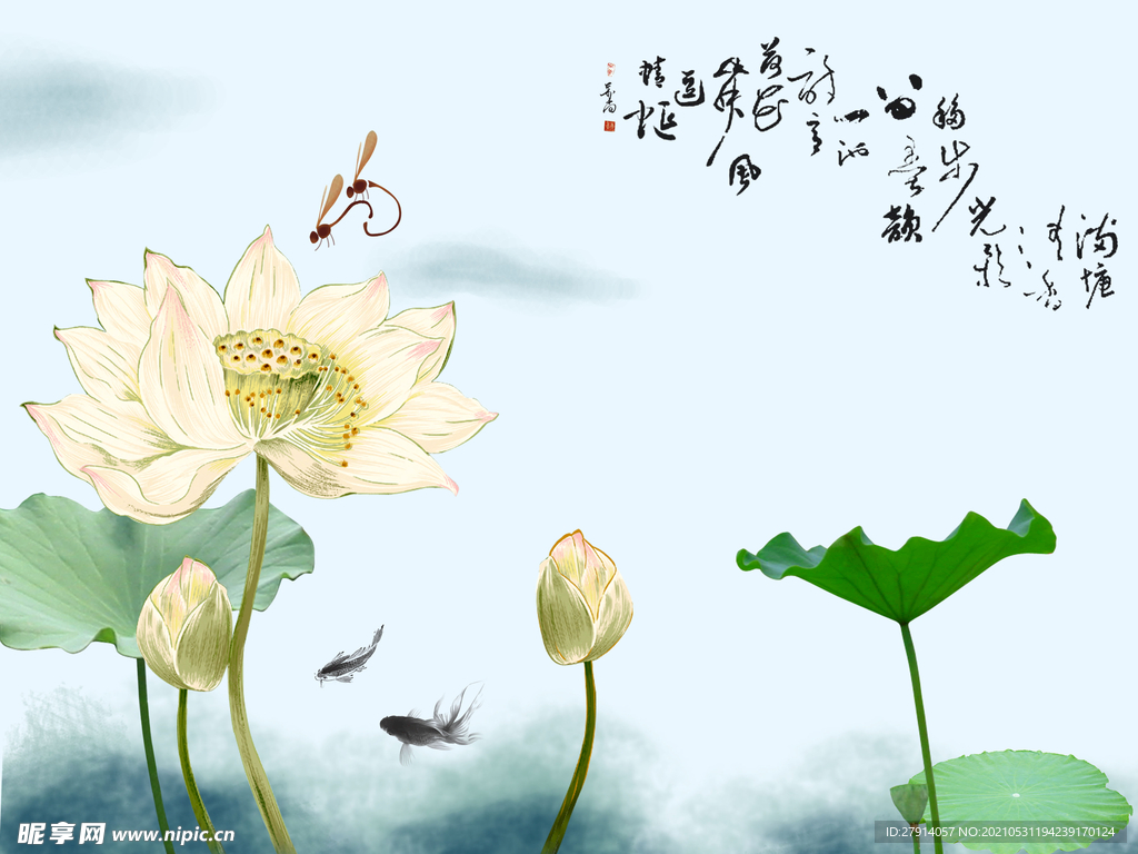 荷花