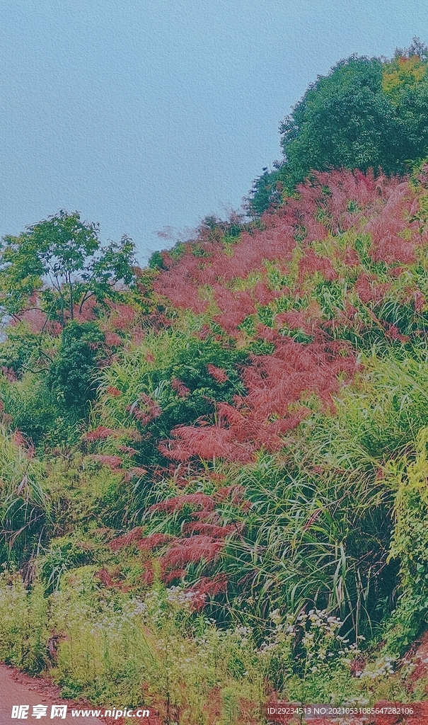 风景图片