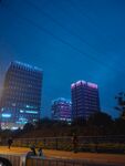城市