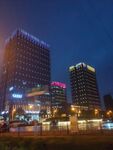 城市