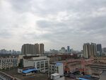 城市