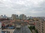 城市