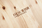 logo样机