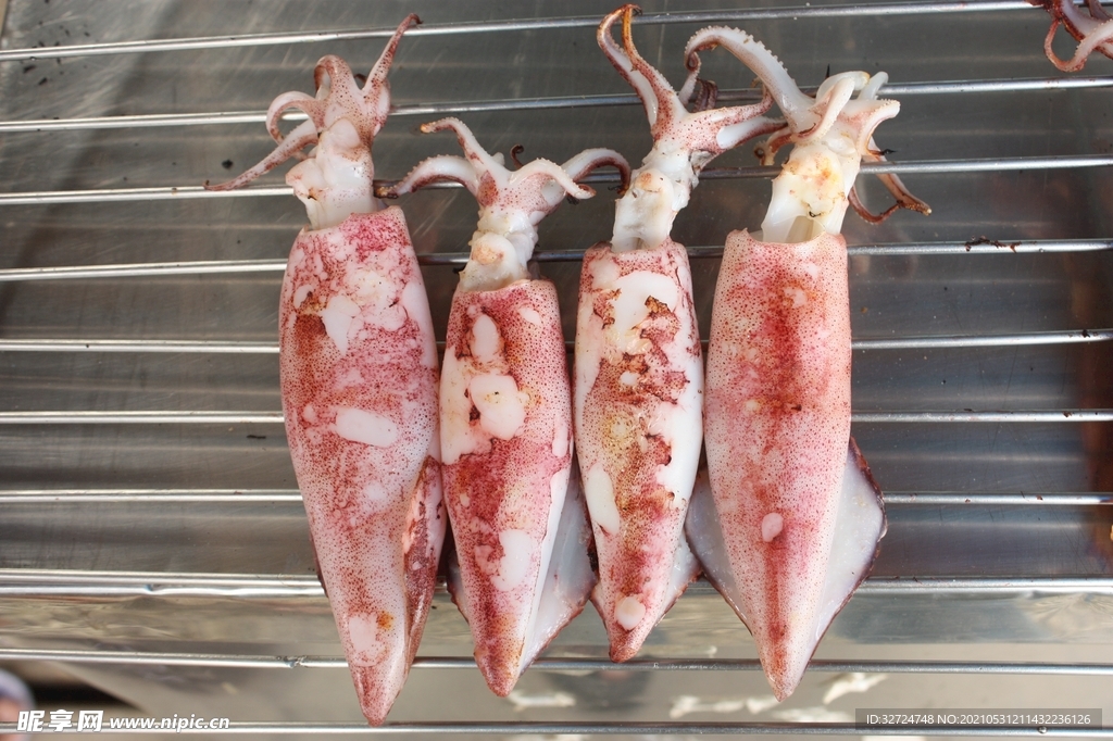 鱿鱼