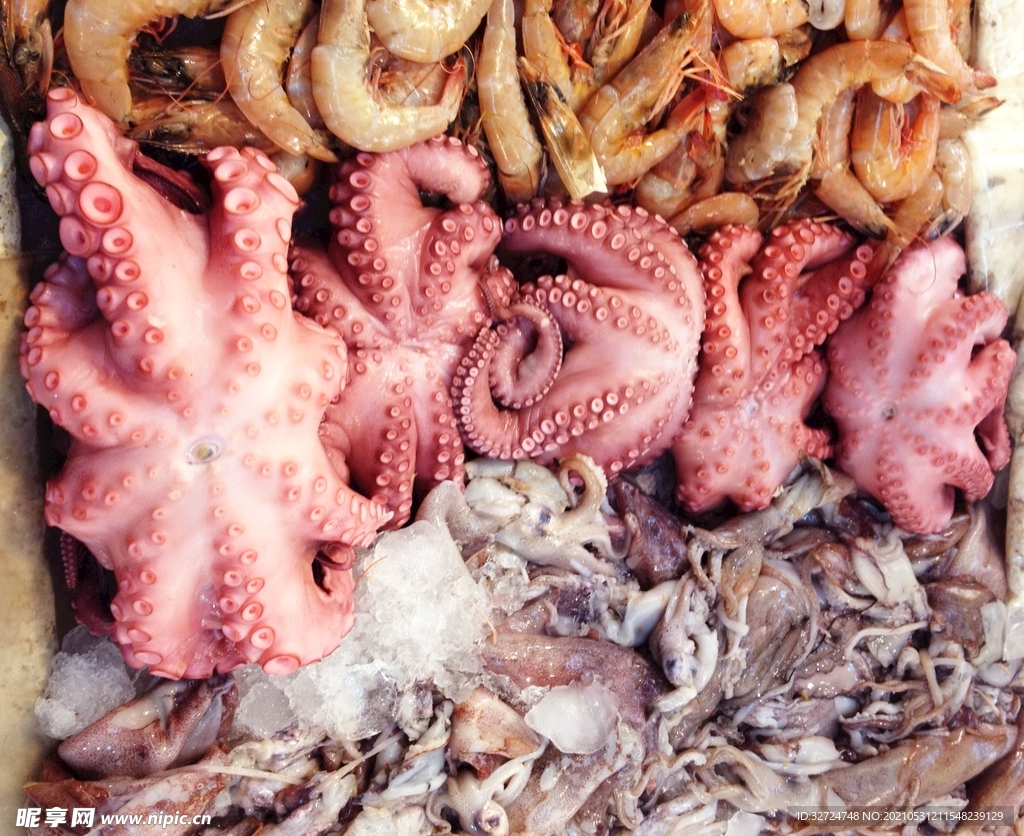 鱼油