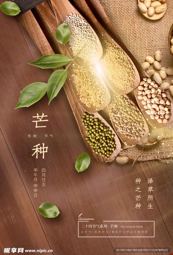 芒种节气传统活动宣传海报素材