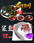 大虾驾到 鲨鱼 龙虾