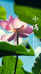 小满海报