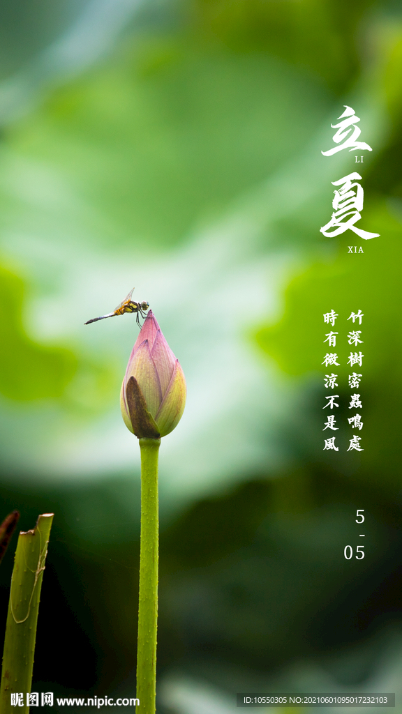 立夏海报