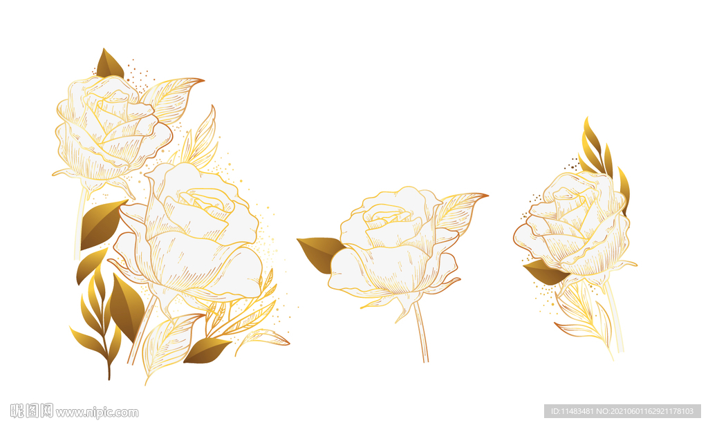 玫瑰花