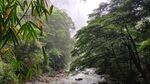 黑山谷