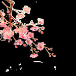梅花