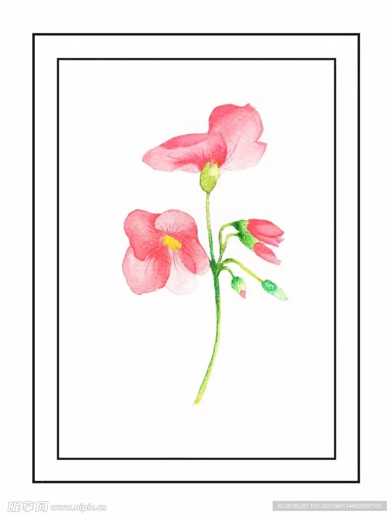 水彩 花