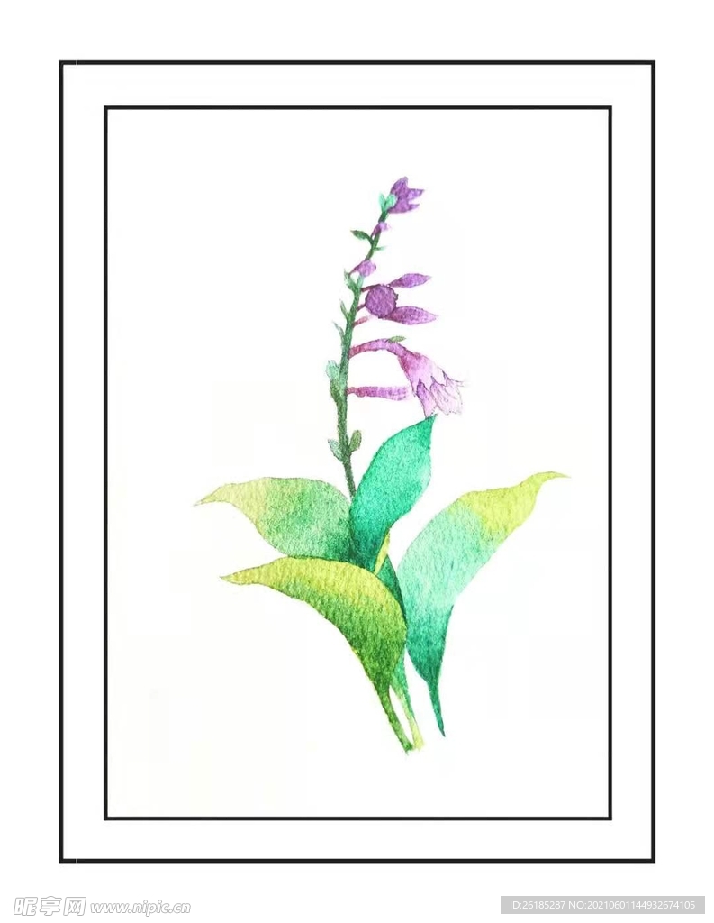 水彩 花