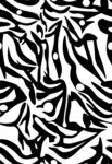 斑马纹