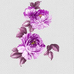 花瓣