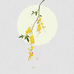 花瓣