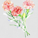 花瓣