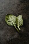 菠菜