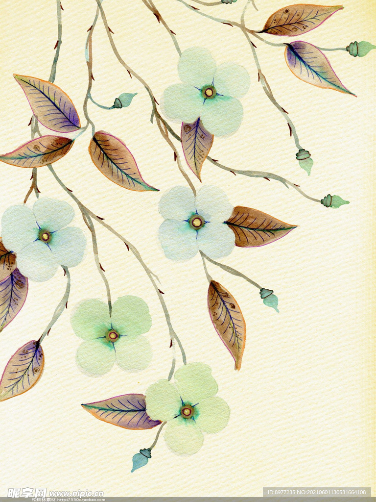 水彩画 植物 花