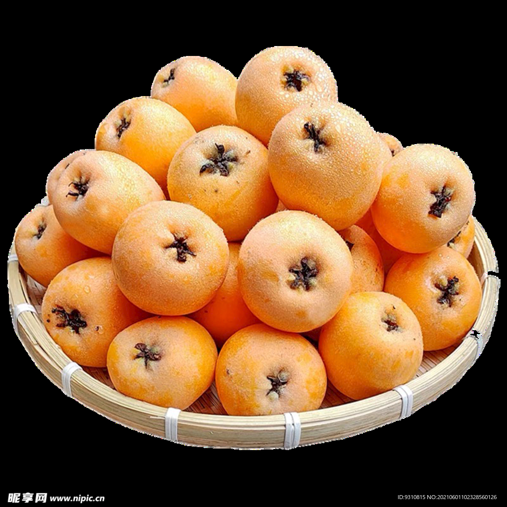 枇杷