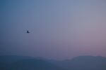 月亮             