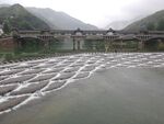 龙鳞坝鱼鳞坝水坝