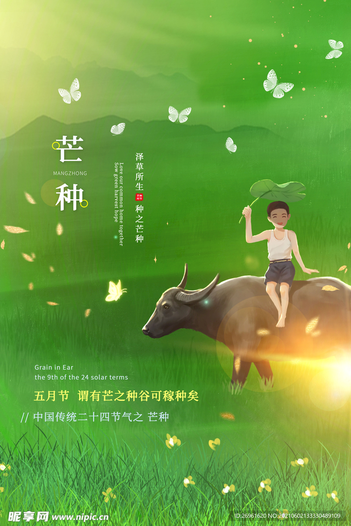 芒种