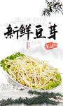 豆芽