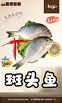 斑头鱼