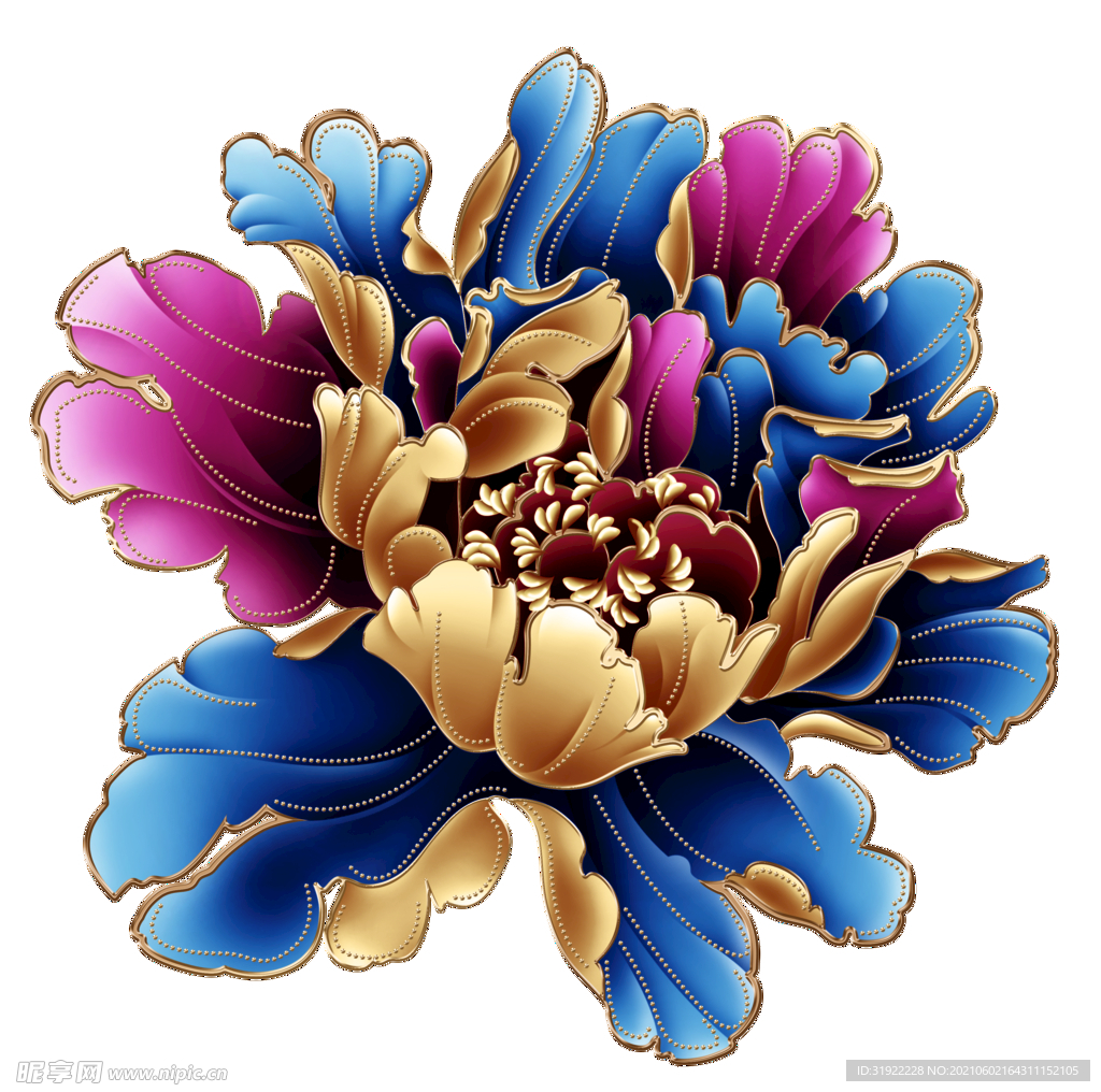 牡丹花