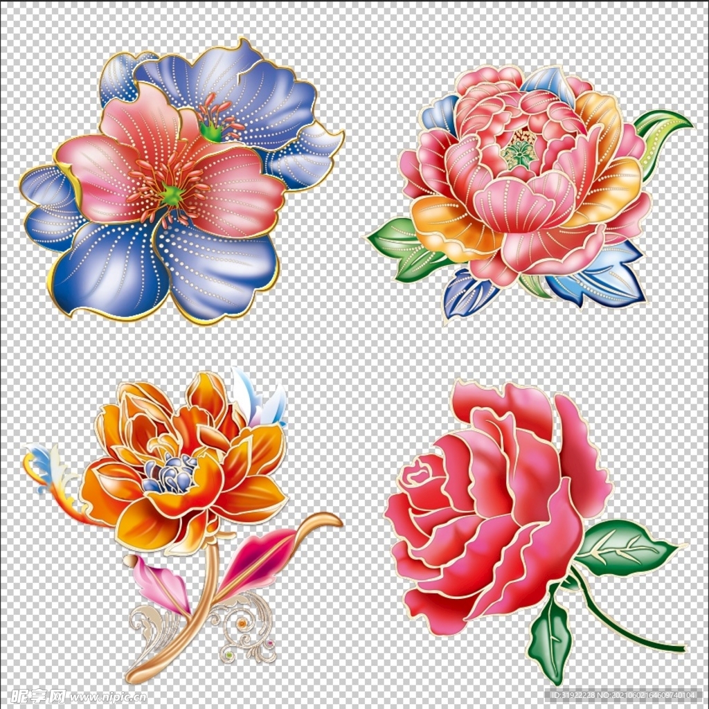 牡丹花