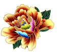牡丹花