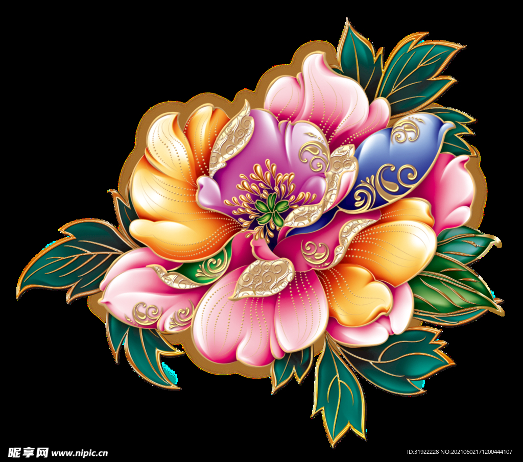 牡丹花