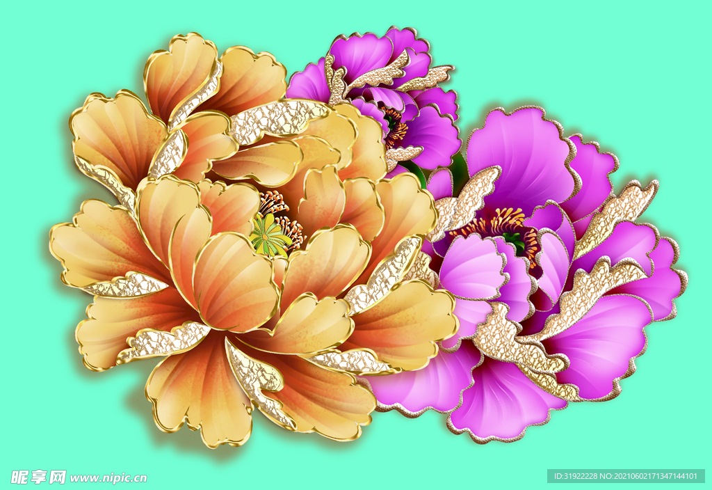 牡丹花