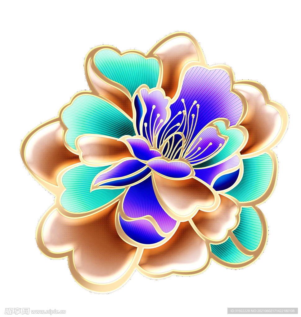 牡丹花
