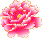 牡丹花