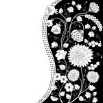 黑白花纹