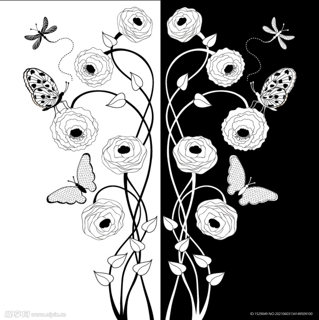 黑白花纹
