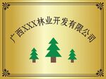 钛金牌