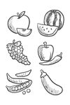 素描水果图案