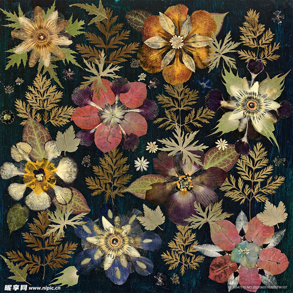 复古花 森林花朵