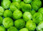 包菜