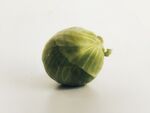 包菜