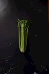 西芹