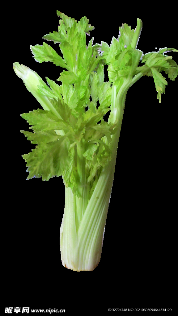 西芹