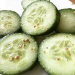 黄瓜