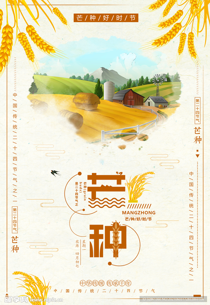 芒种