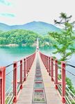 桥              